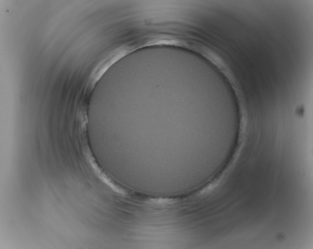 X0000113061377200909181950