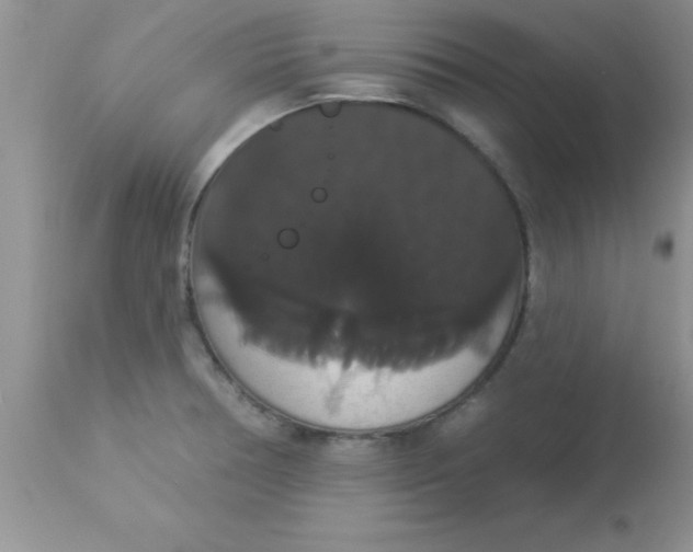 X0000113061378200909181950
