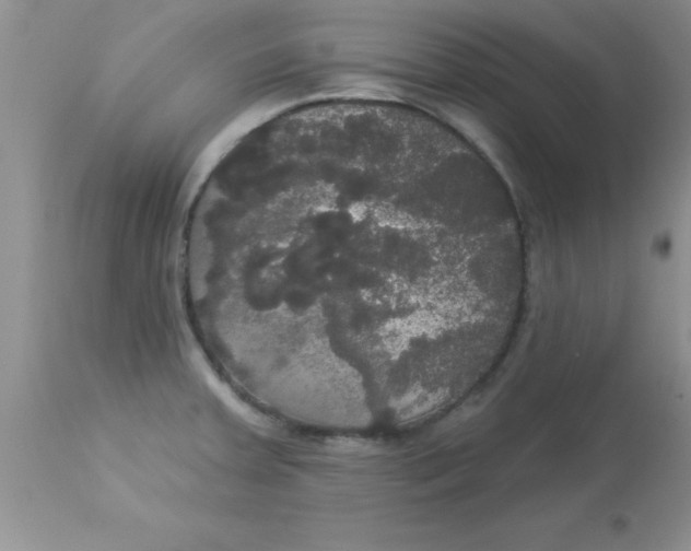 X0000113061379200909181950