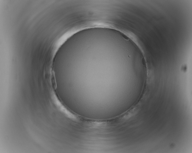 X0000113061381200909181950