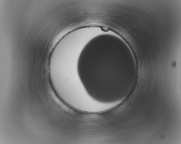 X0000113061382200909181950