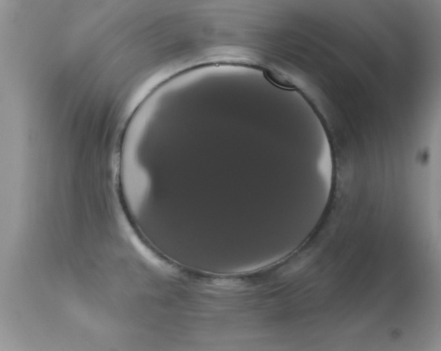 X0000113061383200909181950
