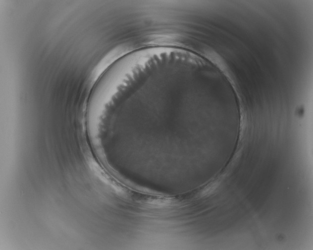 X0000113061386200909181950