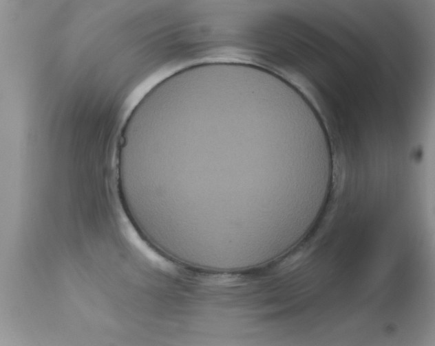 X0000113061387200909181950