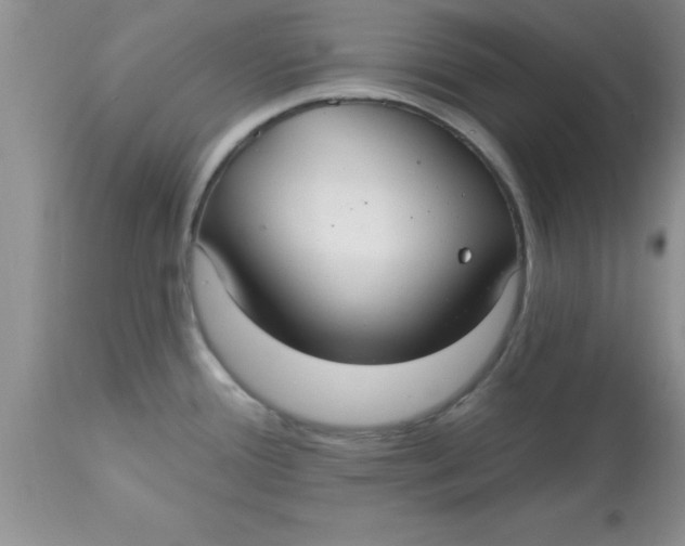 X0000113061388200909181950