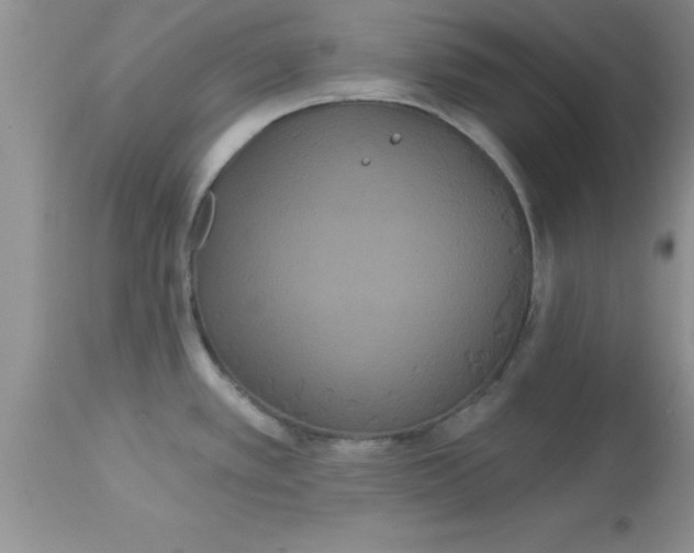 X0000113061389200909181950