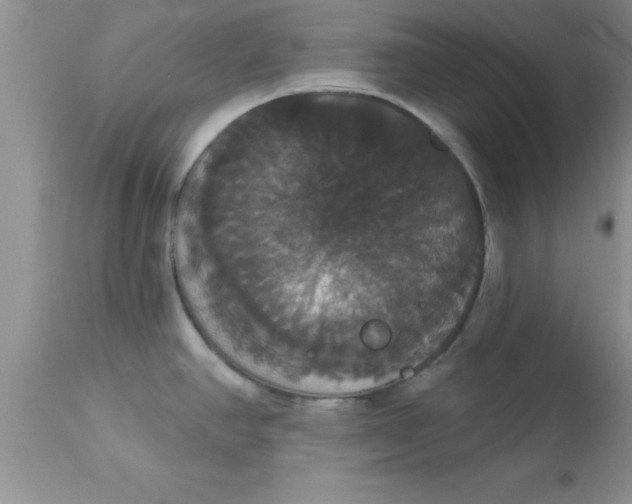 X0000113061390200909181950