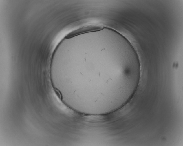 X0000113061392200909181950