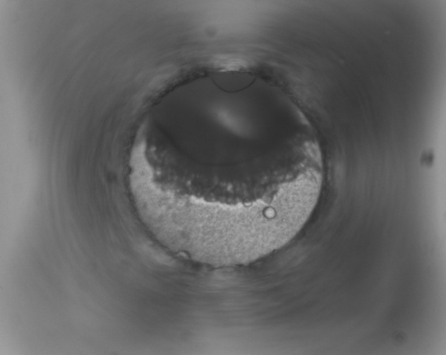 X0000113061393200909181949