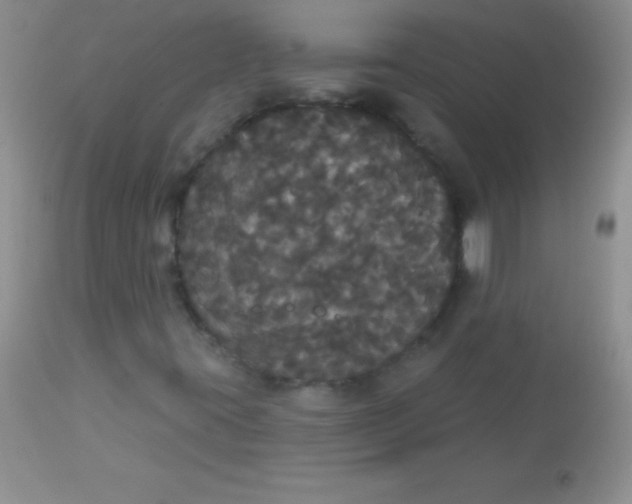 X0000113061395200909181949
