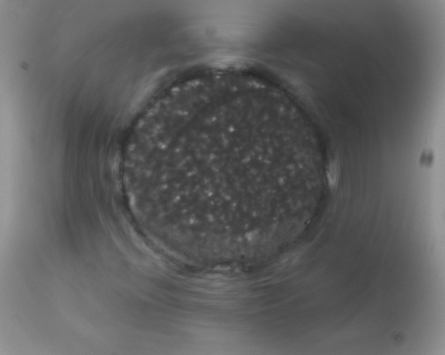 X0000113061396200909181949
