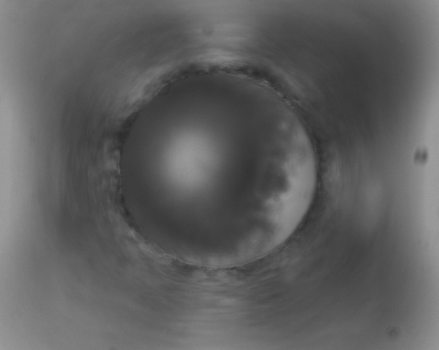 X0000113061397200909181949