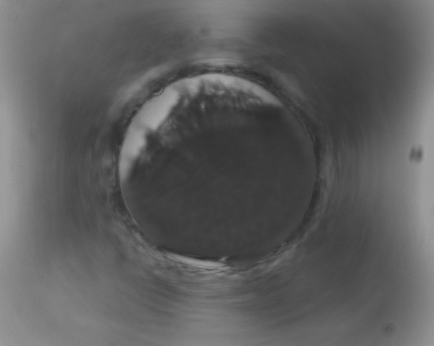 X0000113061398200909181949