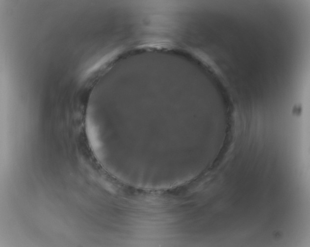 X0000113061399200909181949