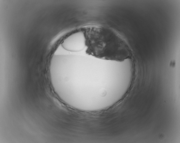 X0000113061400200909181949