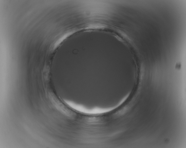 X0000113061401200909181949