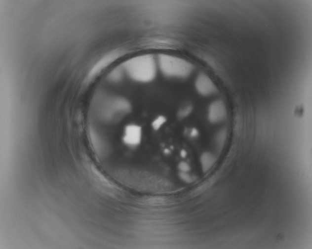 X0000113061402200909181949