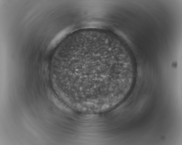 X0000113061403200909181949