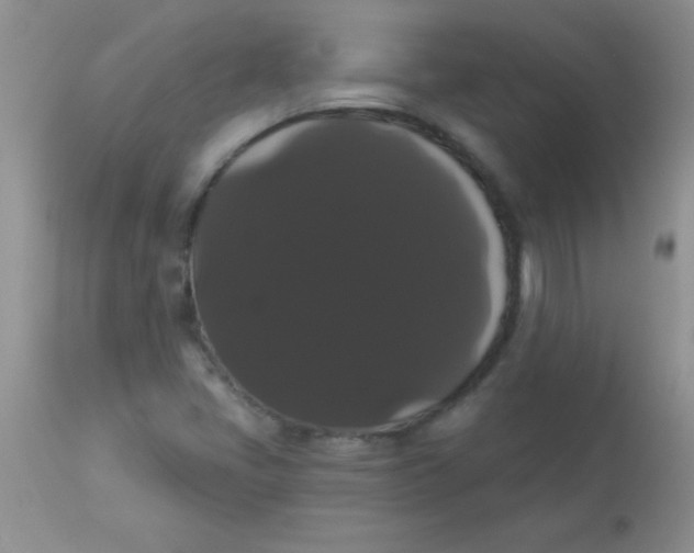 X0000113061405200909181949