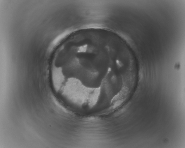 X0000113061406200909181949
