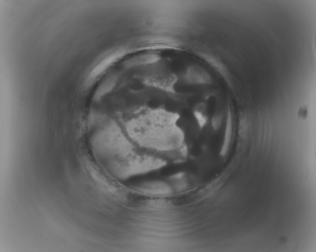 X0000113061407200909181949