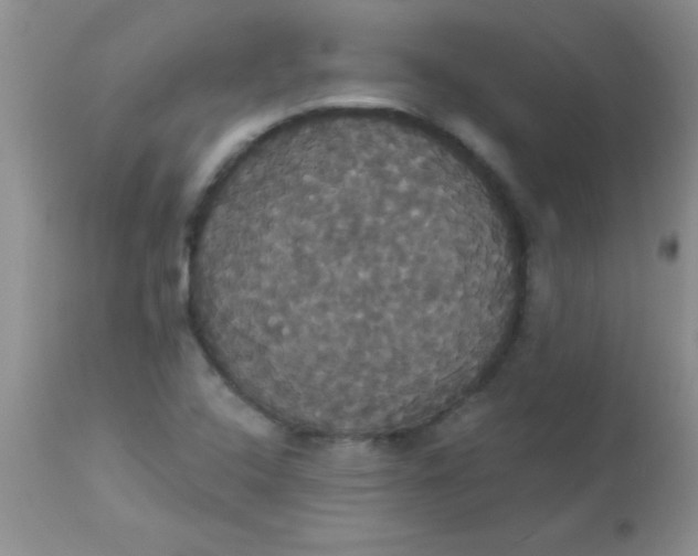 X0000113061408200909181949