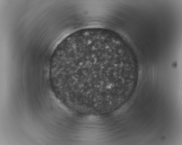 X0000113061409200909181949