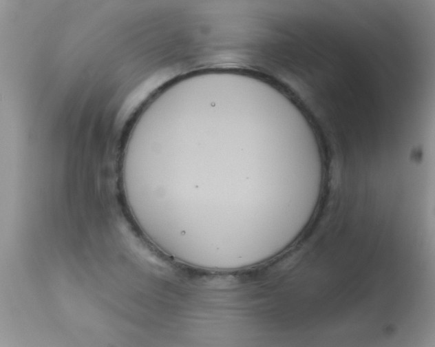 X0000113061410200909181949