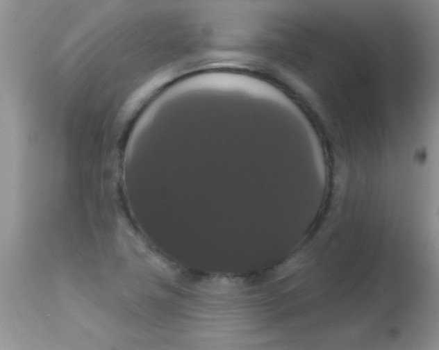 X0000113061411200909181949