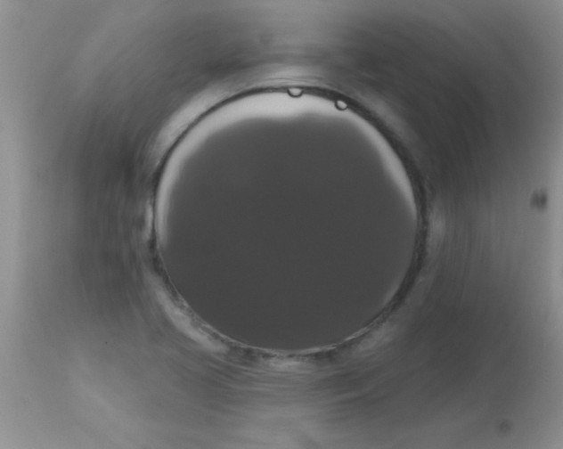 X0000113061413200909181949
