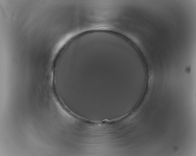 X0000113061414200909181949