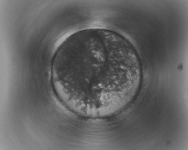 X0000113061415200909181949