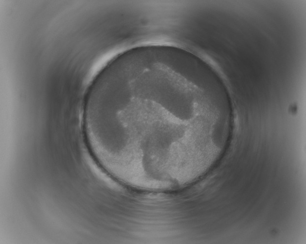 X0000113061416200909181949