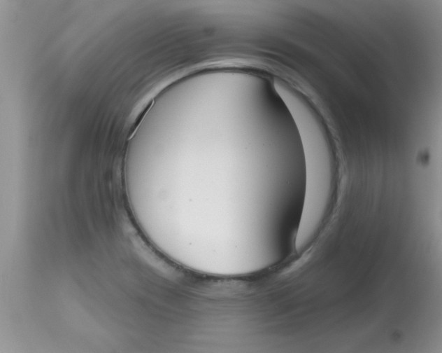 X0000113061417200909181949