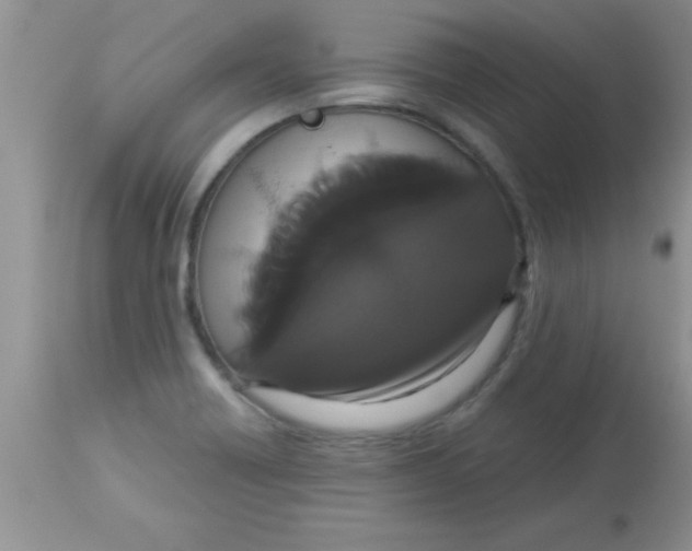 X0000113061418200909181949