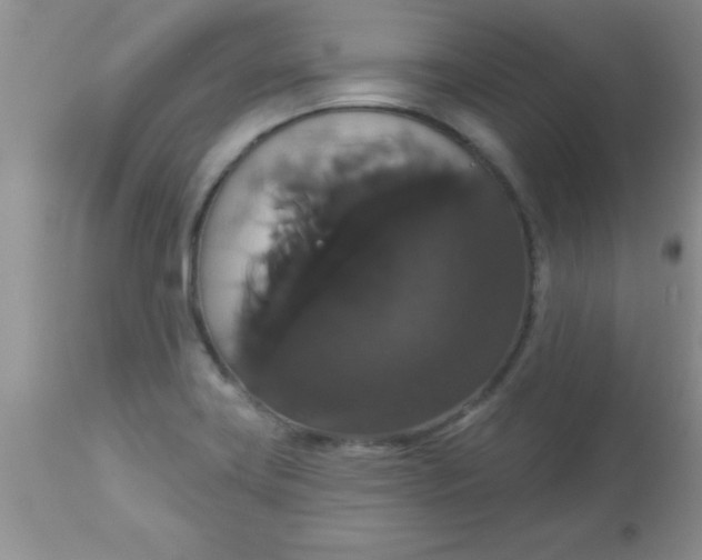 X0000113061419200909181949