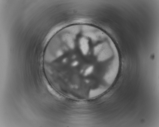 X0000113061421200909181949