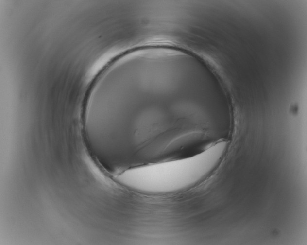 X0000113061422200909181949