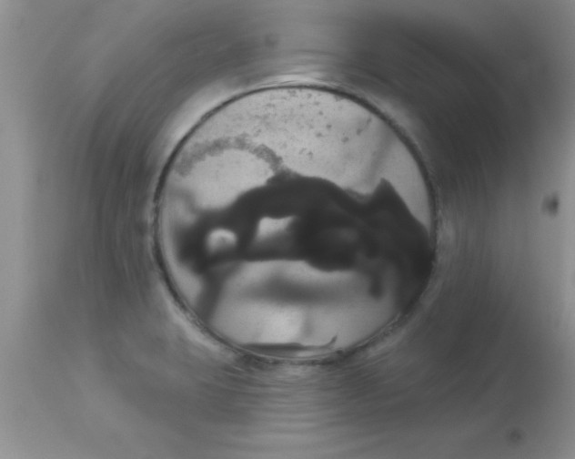 X0000113061423200909181949