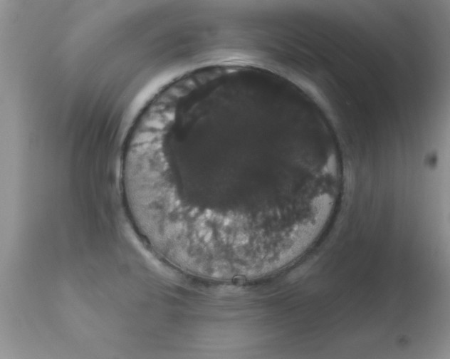 X0000113061424200909181949