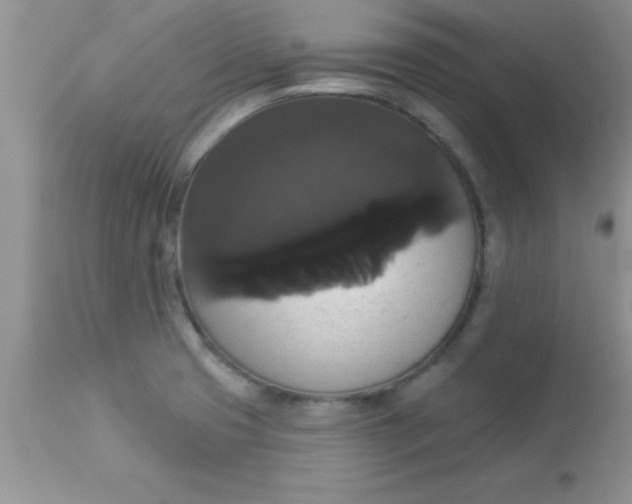 X0000113061425200909181949