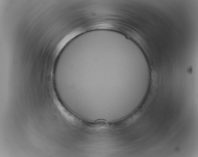 X0000113061426200909181949