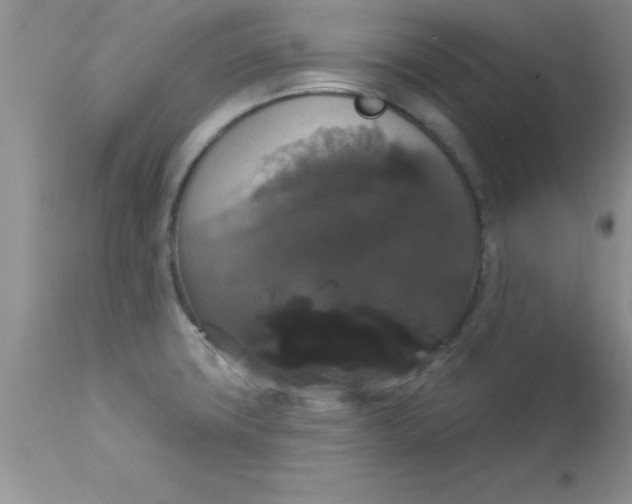 X0000113061427200909181949