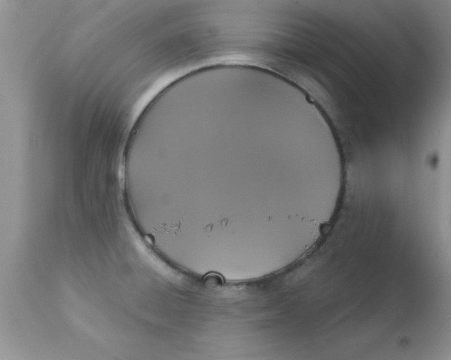 X0000113061428200909181949