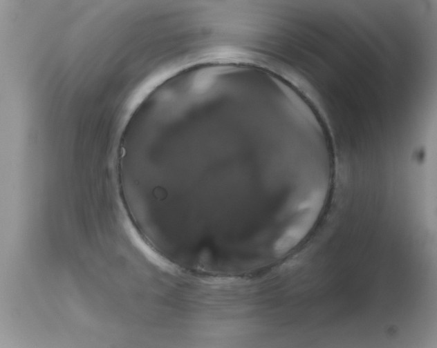 X0000113061429200909181949