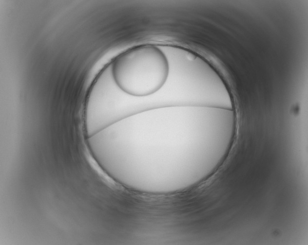 X0000113061432200909181949