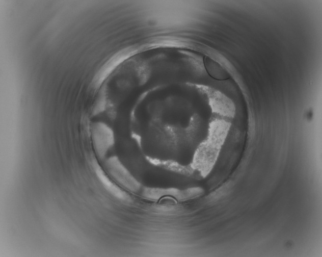 X0000113061433200909181949