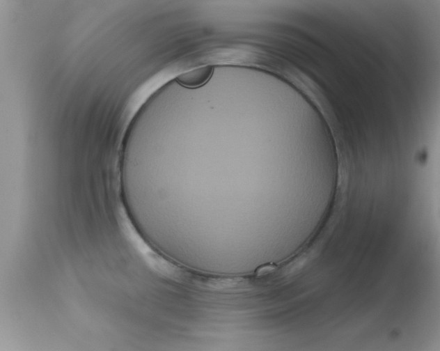 X0000113061434200909181949