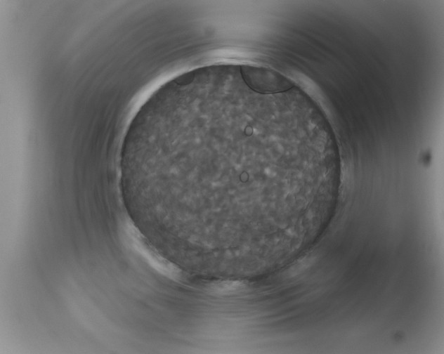 X0000113061435200909181949