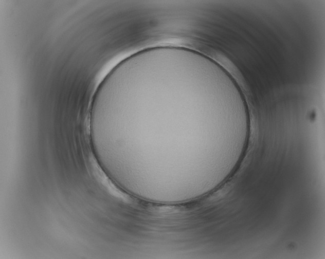 X0000113061436200909181949